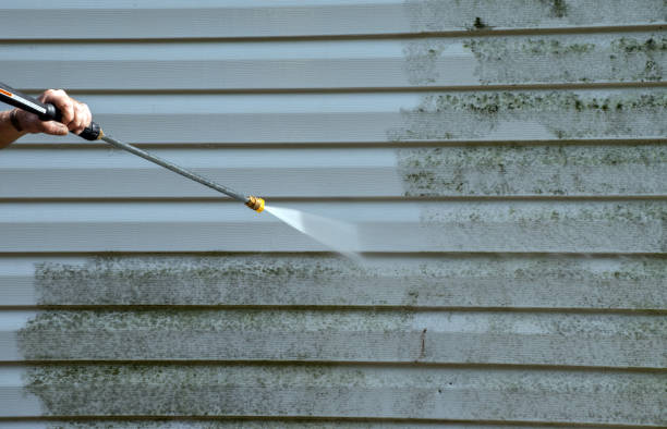 Best Exterior Home Cleaning  in Morgantown, WV