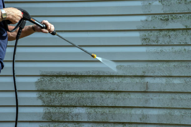 Best Best Pressure Washing Companies  in Morgantown, WV
